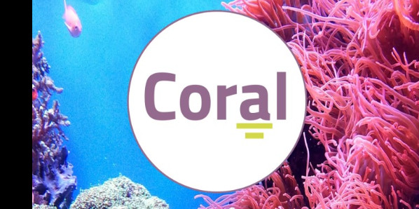 
Las competencias orales y el aprendizaje de lenguas en el S.XXI (CORAL) (1ed. 2025)
